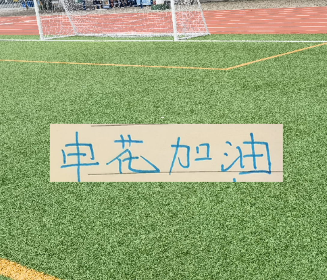 开云APP-申花越连胜 球迷越喊 可惜! 特别是重庆被阻击后 无人拦领头羊